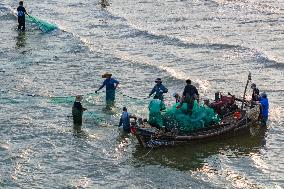 Seafood Harvest in Qingdao