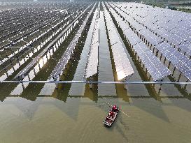 A Fishery-solar Hybrid Base in Suqian