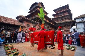 Nepal Observes Phulpati Ceremony