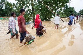 Flood In Sherpur Bangladesh