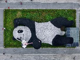 World's Heaviest Giant Panda Sculpture in Chengdu