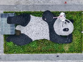 World's Heaviest Giant Panda Sculpture in Chengdu