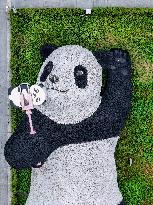 World's Heaviest Giant Panda Sculpture in Chengdu