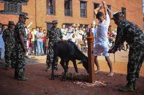 Dashain Festival Celebration In Nepal.