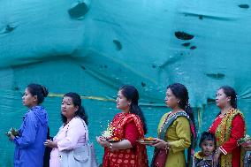 Nepal's Taleju Bhawani Temple Open Its Door On Final Day Of Nawaratri, Animals Sacrificed