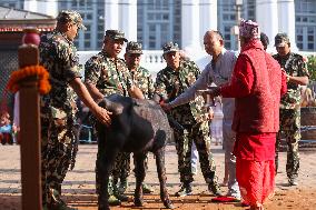 Nepal's Taleju Bhawani Temple Open Its Door On Final Day Of Nawaratri, Animals Sacrificed