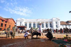 Nepal's Taleju Bhawani Temple Open Its Door On Final Day Of Nawaratri, Animals Sacrificed