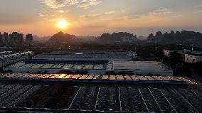 Grid-connected Photovoltaic Power Generation