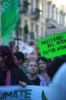 Fridays For Future - Milan