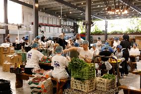 People Gather To Prepare Meals For Immigrants And Displaced Persons - Beirut