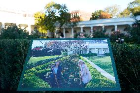 White House Fall Garden Tour - Washington