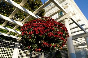 White House Fall Garden Tour - Washington