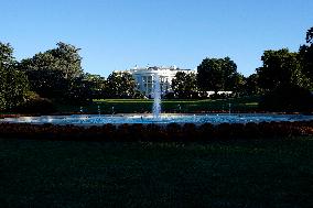 White House Fall Garden Tour - Washington