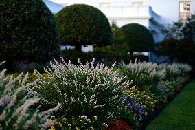 White House Fall Garden Tour - Washington