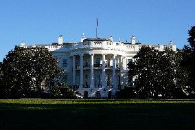 White House Fall Garden Tour - Washington