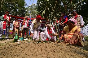 Ali-Aye-Ligang Festival In Assam