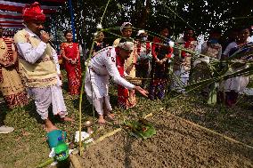 Ali-Aye-Ligang Festival In Assam