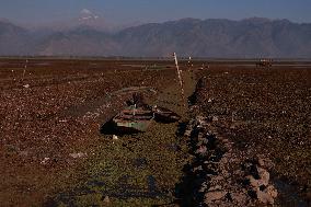 Daily Life In Kashmir