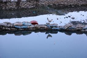 Daily Life In Kashmir