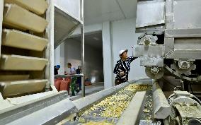 Vegetable Processing