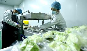 Vegetable Processing