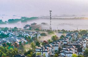 Beautiful Countryside in Suqian