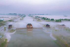 Beautiful Countryside in Suqian