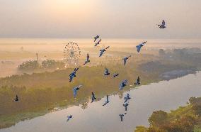 Beautiful Countryside in Suqian