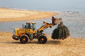 Oyster Harvest in Qingdao