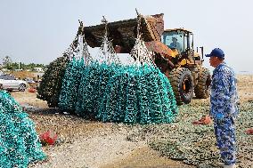 Oyster Harvest in Qingdao