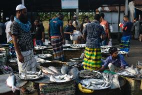 Wholesale Fish Market In Mawa