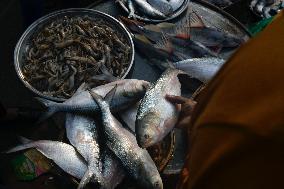 Wholesale Fish Market In Mawa