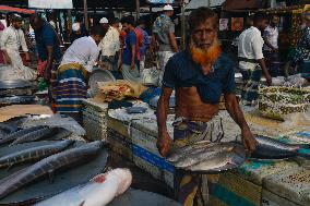 Wholesale Fish Market In Mawa