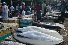 Wholesale Fish Market In Mawa