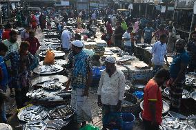 Wholesale Fish Market In Mawa