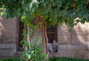 Daily LIfe In Tehran, Iran