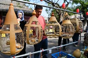 Gourd Culture and Art Festival in Liaocheng