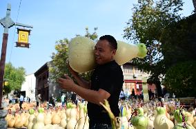 Gourd Culture and Art Festival in Liaocheng