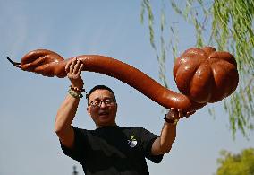 Gourd Culture and Art Festival in Liaocheng