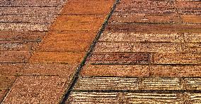 Aerial View Fields Harvest - China