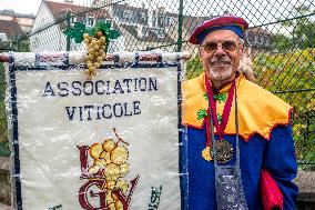 Montmartre Grape Harvest Festival - Paris