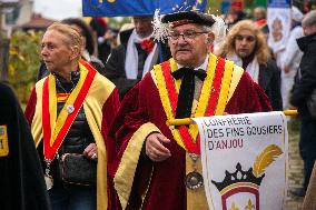 Montmartre Grape Harvest Festival - Paris