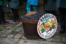 Montmartre Grape Harvest Festival - Paris