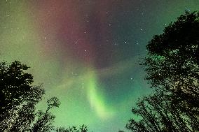 Aurora Borealis Over Minnesota