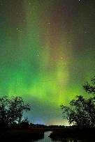 Aurora Borealis Over Minnesota