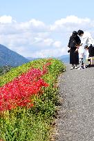 Equinox Flowers