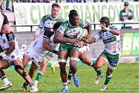 RUGBY - URC Rugby - Benetton Rugby vs Hollywoodbets Sharks