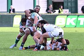 RUGBY - URC Rugby - Benetton Rugby vs Hollywoodbets Sharks