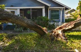 Damage In The Tampa Region, Florida, After Hurricane Milton