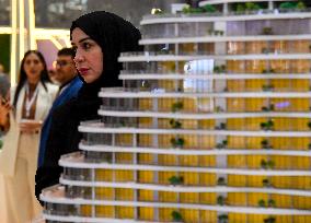 'Cityscape Qatar 2024' The Real Estate Exhibition In Doha